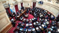 Senadores opositores piden una sesión especial para tratar el Mega DNU