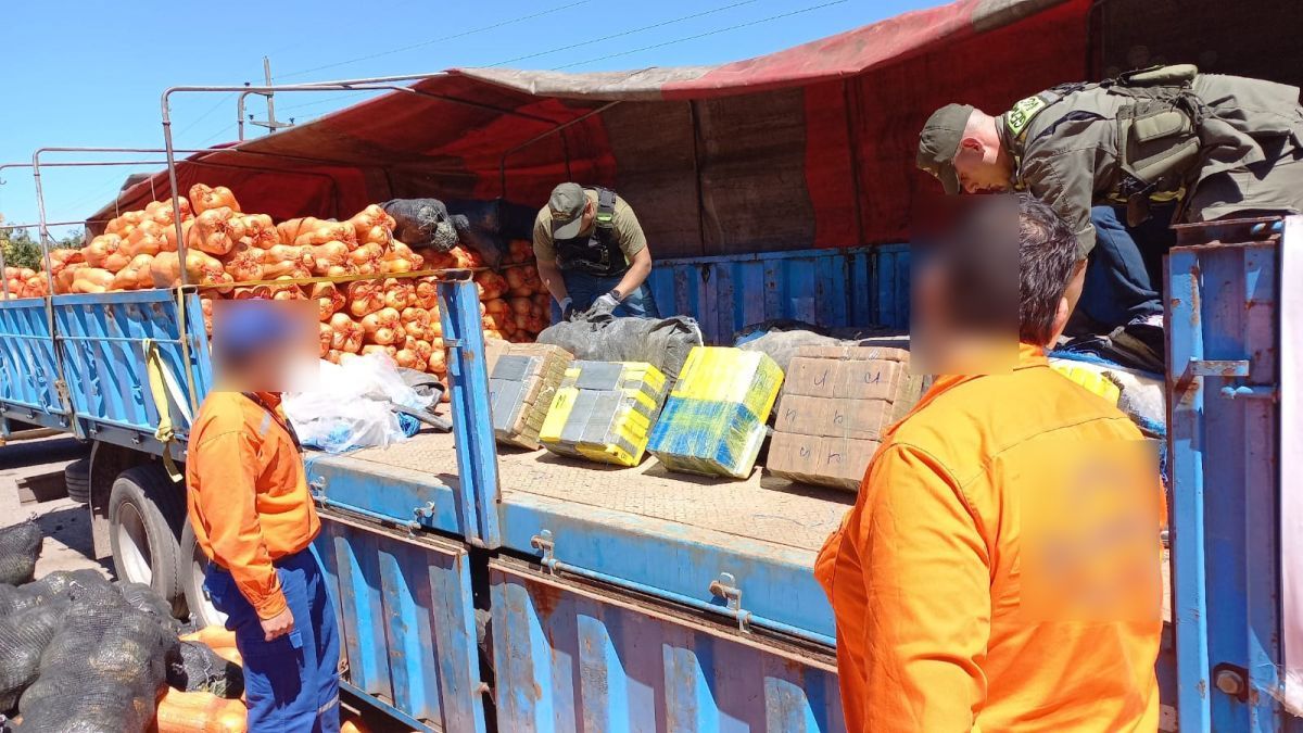 Salta: incautaron un cargamento de 861 kilos de cocaína oculta en zapallos