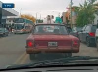 [Video] La Plata: un automovilista manejó con su perro parado en el techo del auto