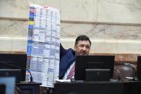 El Senado aprobó en general la Boleta Única de Papel 