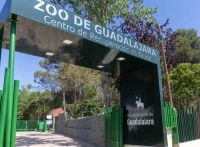 Muerte de "El Mencho": Turistas tuvieron que resguardarse en un zoológico por la ola de incidentes
