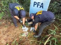 La PFA incautó 299 ampollas de fentanilo ocultas en un campo de Misiones