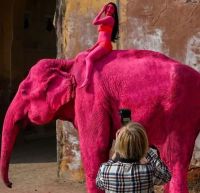 Polémica por la muerte de un elefante que fue pintado de rosa para una sesión fotográfica