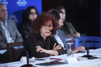 El Gobierno presentó en el Senado el proyecto de modificación de la Ley de Salud Mental
