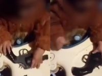 La Plata: Detuvieron a una mujer que filmó a su bebé mientras manipulaba un arma