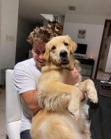 Gran Hermano: Murió Ámbar, la perrita de Manu Ibero