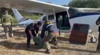 Santa Fe: desmantelan una red con ayuda de la DEA y secuestran 400 kilos de cocaína que llegaron en avioneta
