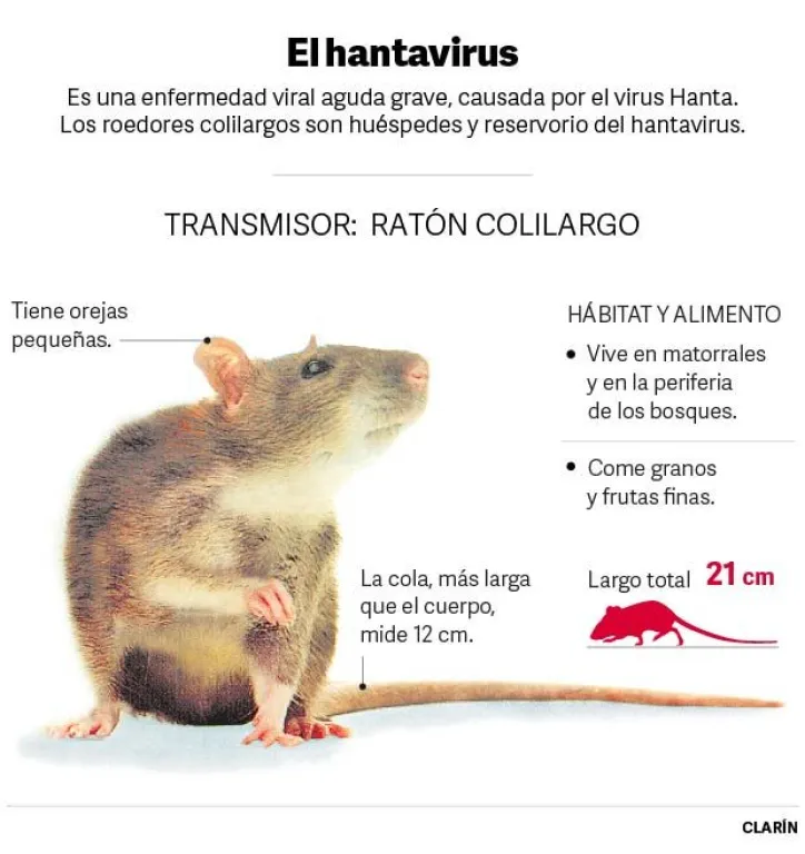 Cr&eacute;ditos Clarin