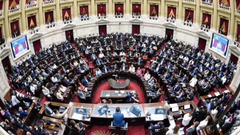 El Gobierno consiguió la media sanción de la Ley Hojarasca en Diputados