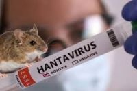 Alerta por hantavirus: ya confirmaron 45 casos en todo el país