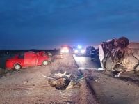 Córdoba: Dos muertos tras el choque frontal entre una combi que transportaba un equipo de fútbol femenino y un auto