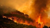 Incendios en España: 60.000 personas fueron evacuadas y hay más de 120.000 hectáreas arrasadas