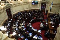 El Senado dio media sanción al proyecto de inviolabilidad de la propiedad privada, pero sin los capítulos 3 y 4