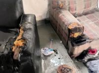 La Plata: La encerró, le arrojó agua hirviendo e intentó prender fuego la casa