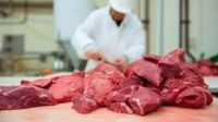 Carne vacuna: el consumo cayó a su nivel más bajo en décadas y crece la preocupación