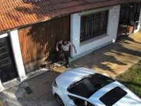 Acarició a una gatita, le pisó la cabeza y los vecinos buscan identificarlo para denunciarlo