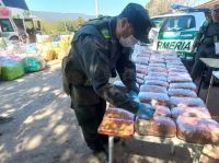 En un operativo, hallaron más de 54 kg de droga en peluches de carpinchos y detuvieron a una mujer