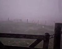 Temporal en Córdoba: una feroz granizada golpeó varias localidades y continúa la alerta