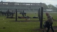 Un rayo provocó la muerte instantánea de cuatro caballos en el Jockey Club de San Isidro